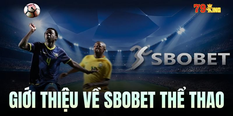 SBOBET 79king – Thương Hiệu Cá Cược Uy Tín Hàng Đầu